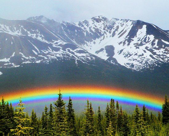 Jasper Artists Guild